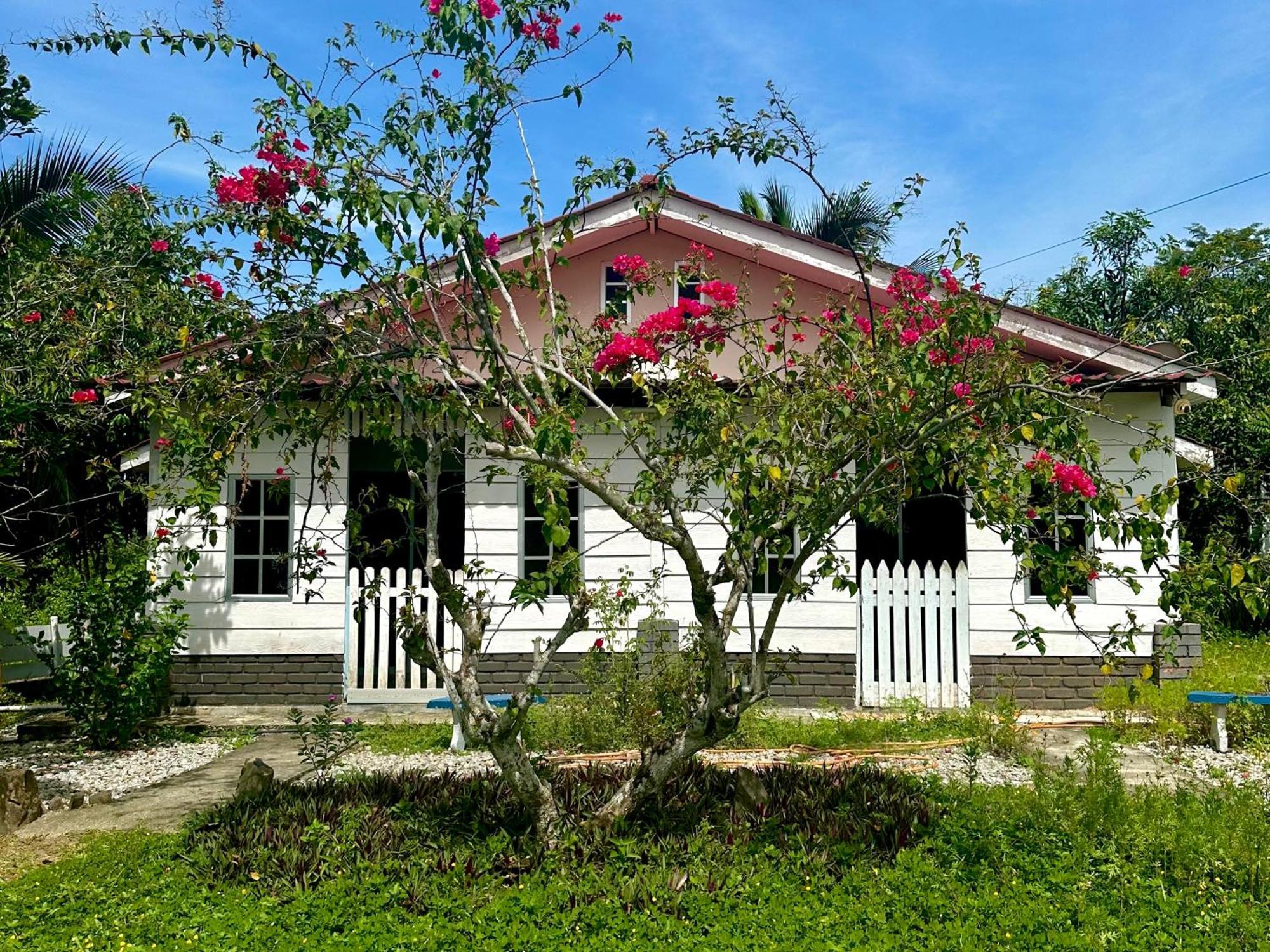 Kapal Terbang Guest House Langkawi Pantai Cenang  Luaran gambar